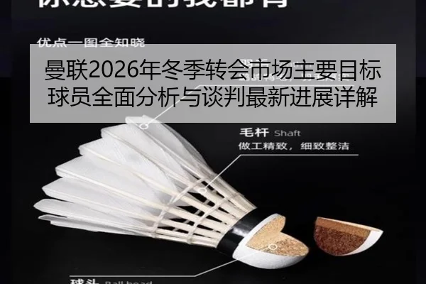 曼联2026年冬季转会市场主要目标球员全面分析与谈判最新进展详解