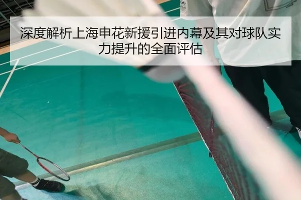 深度解析上海申花新援引进内幕及其对球队实力提升的全面评估